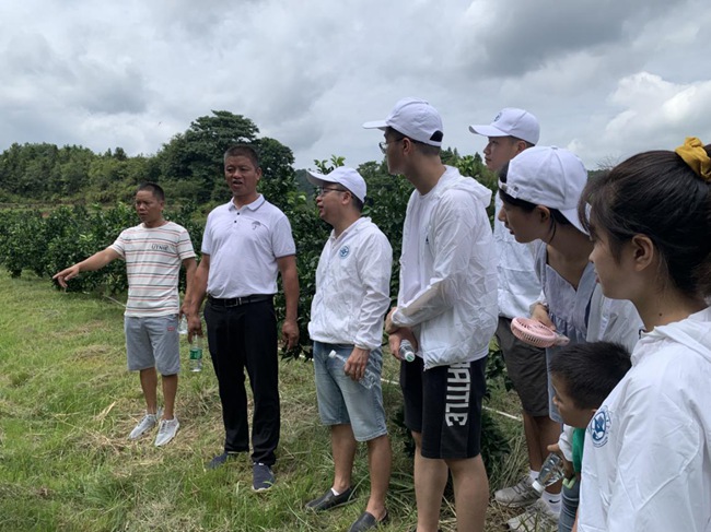 實踐隊在村主任伍玉炎帶領下參觀贛南臍橙種植園。福建船政交通職業(yè)學院供圖